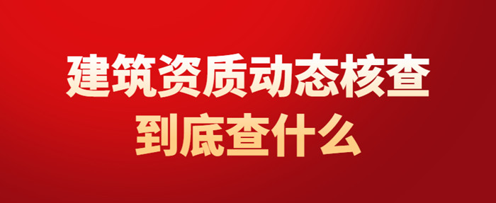动态核查查什么