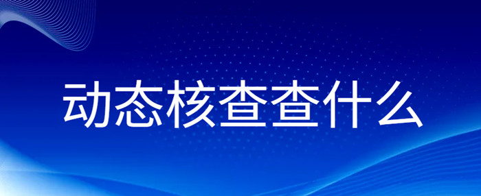 动态核查